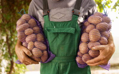 Bushwick Commission Focuses on Locally Grown Potatoes