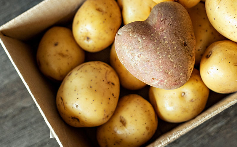 Bushwick Commission Unveils Newly Designed Potato Packaging