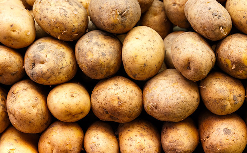 Bushwick Potato Commission’s Ken Gray Reports on Potato Market